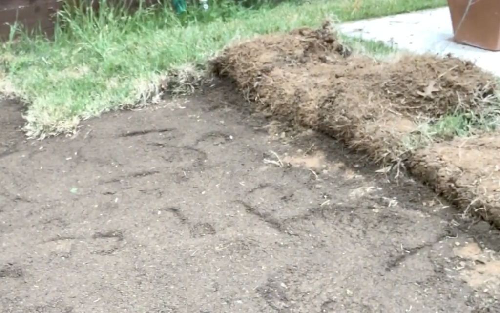 The Best Soil For Zoysia Grass » The 1 Lawn Mowing Service For