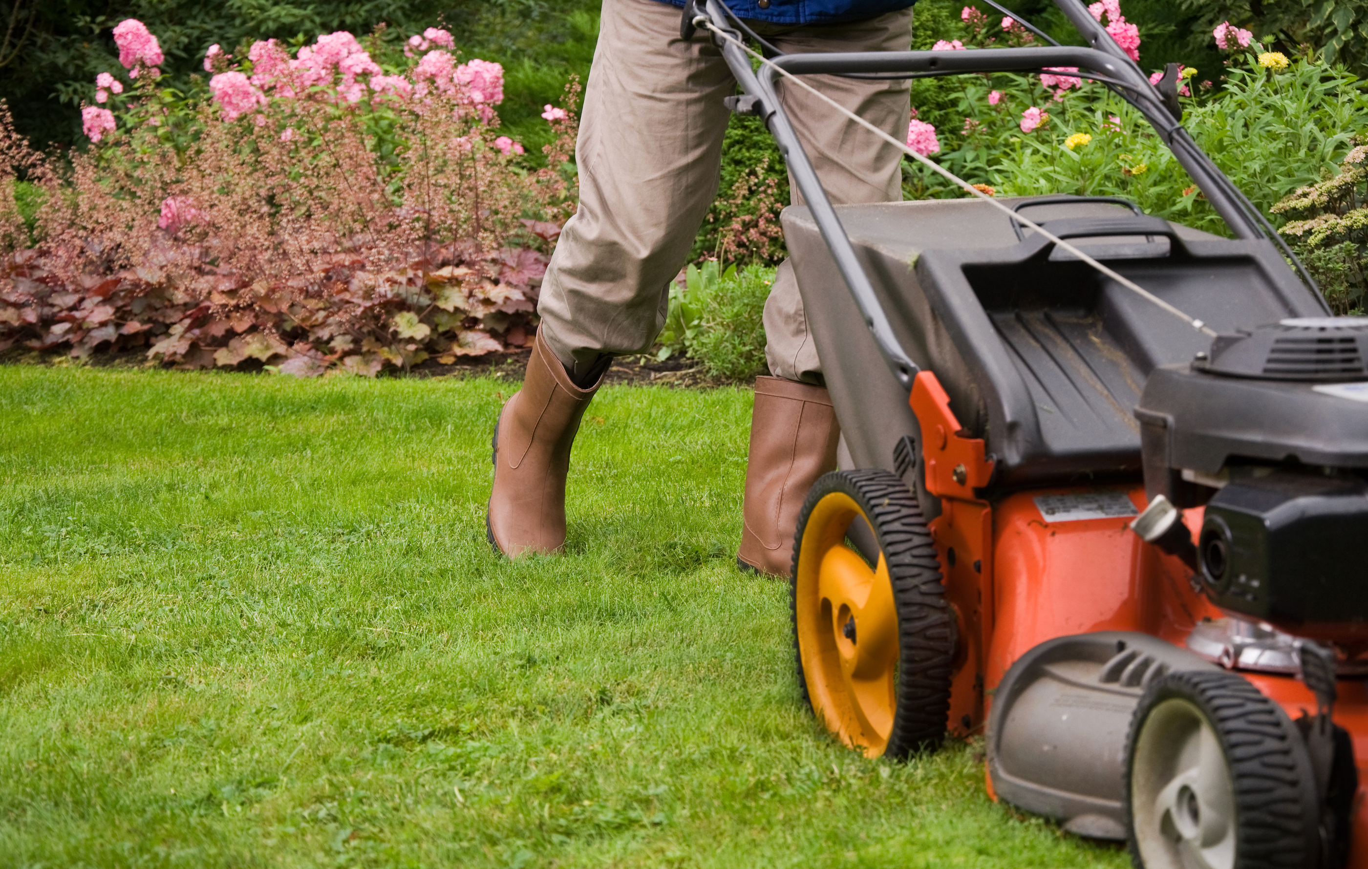 best time to mow your texas lawn