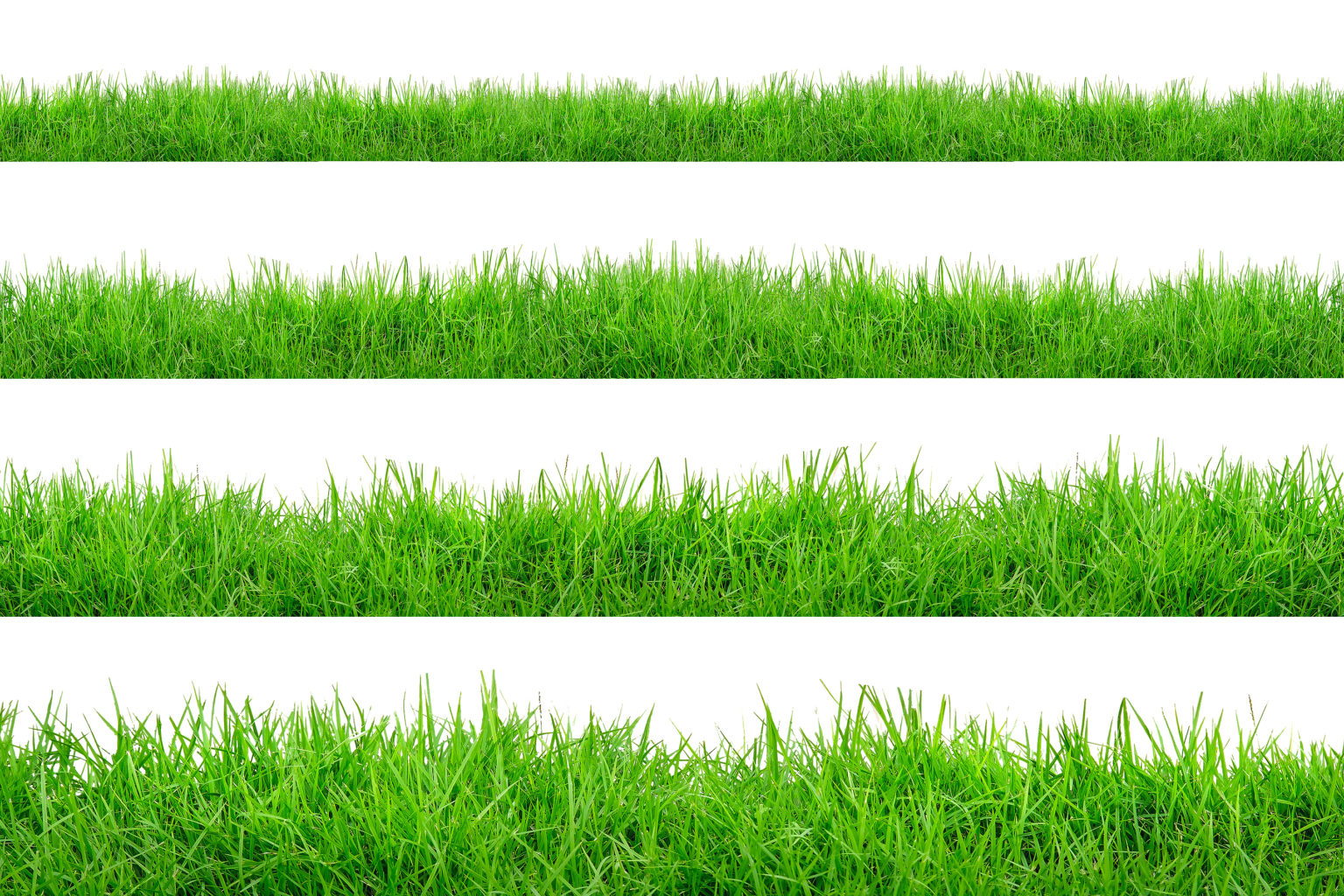 The 7 Best Grass Types For Texas Weather Main Street Mowing.
