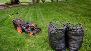 Why We Mulch Grass Clippings Back Into The Lawn